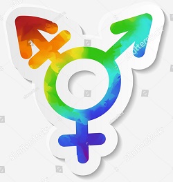 Transgender logo